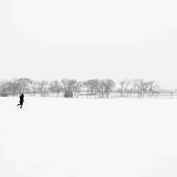 photography blackandwhite freetoedit people snow