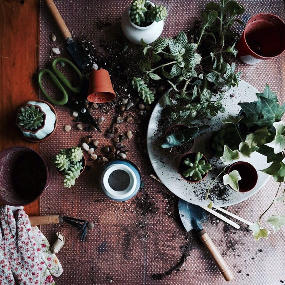 Personal space. #plants #gardening #nature #succulent #cactus #pottery 